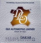 DLO logo